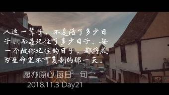 阳光与你别来无恙