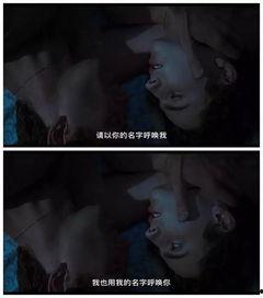 当我呼唤你的名字,探寻名字背后的情感与记忆