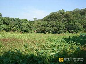 绿野仙澳,探寻绿野仙澳的神秘之旅
