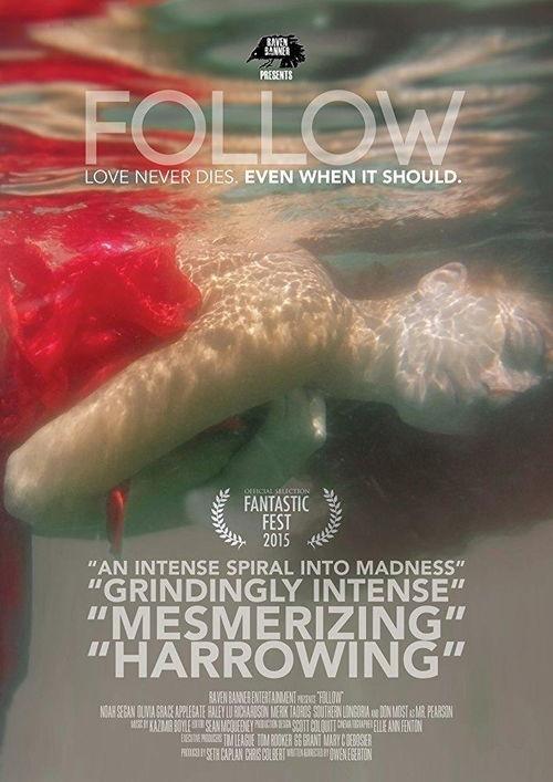 循迹线索,揭开历史谜案的真相之旅